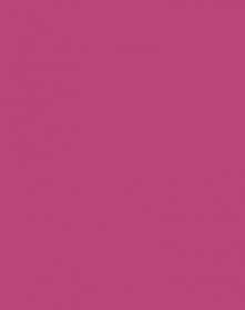 0364-01(глянец) Jaipur