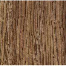 4420-60(HW) Sevilla gordal